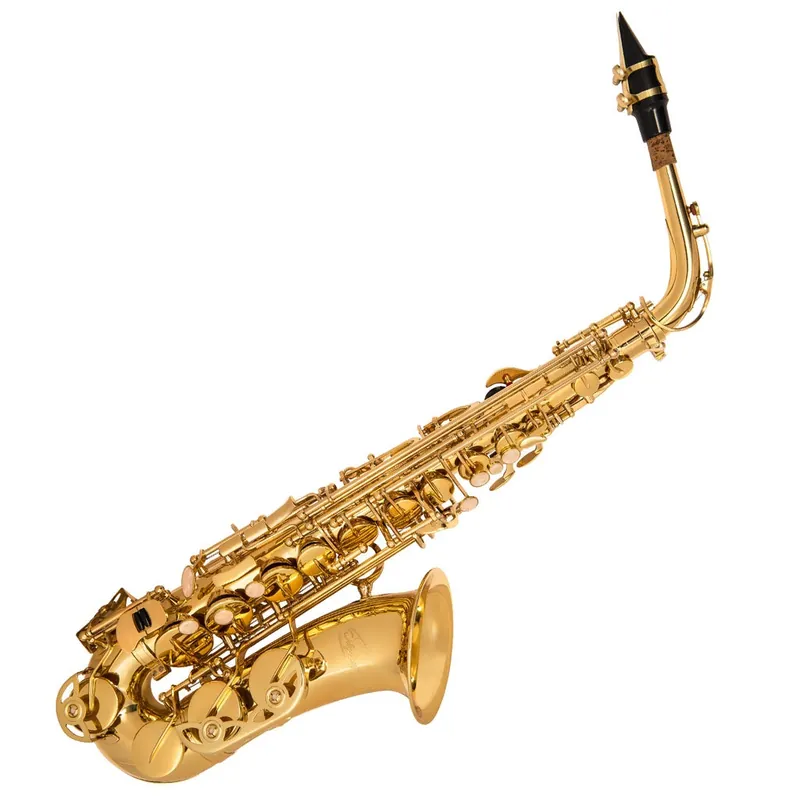 Populär Odyssey Wind Instruments OAS130 Debut Eb Alto Saxophone with